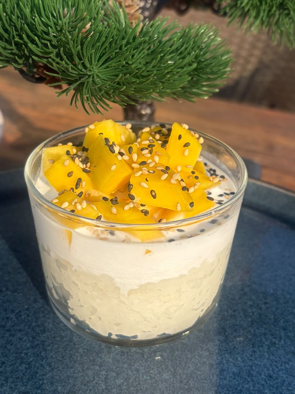 Riz Coco et Mangue